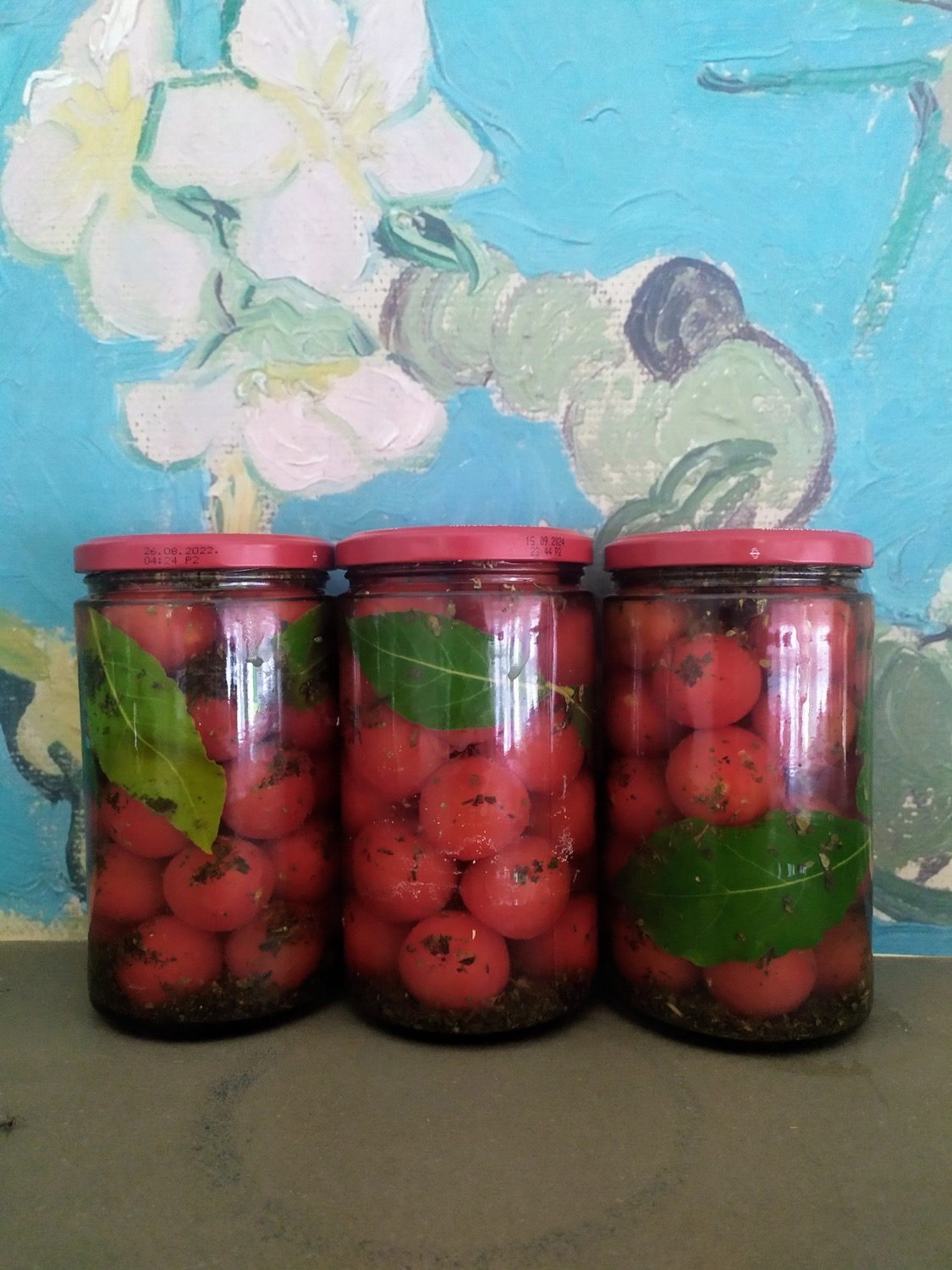 Potten met rood fruit